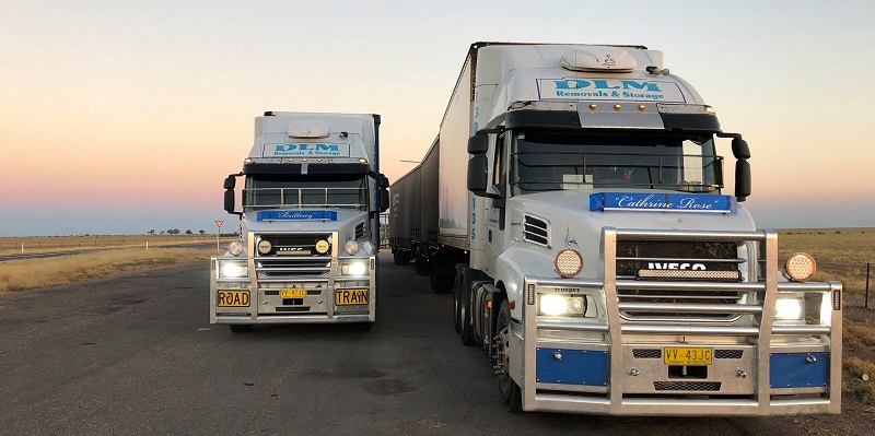 DLM Removals